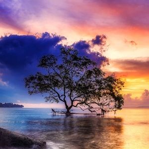 Meet your Posher, Rena